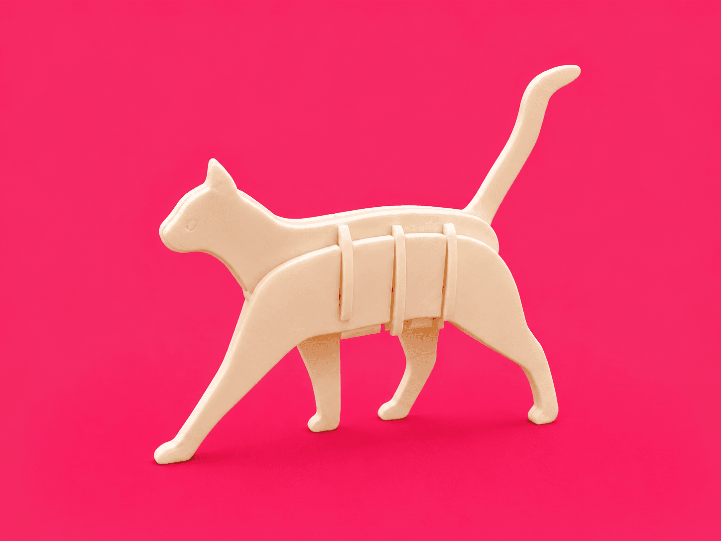 Cat // 01 product view