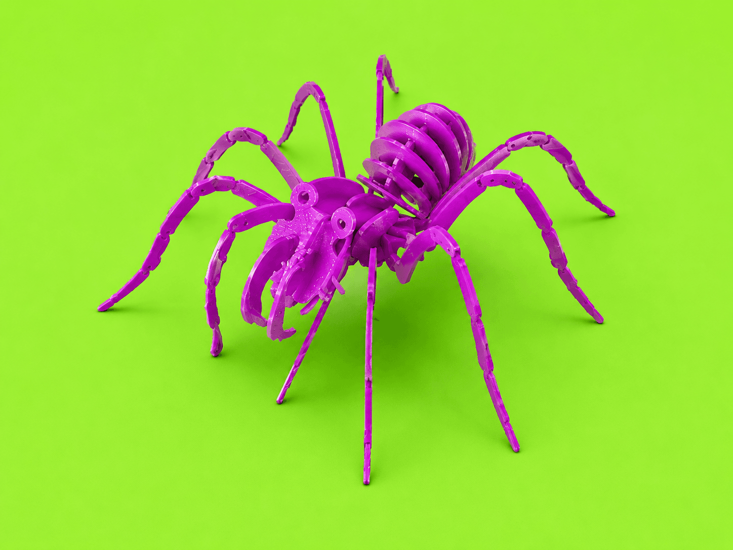 Tarantula // 02 product view